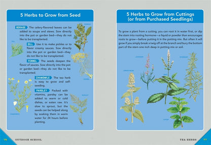 Outdoor School: Gardening-The Definitive Interactive Nature Guide