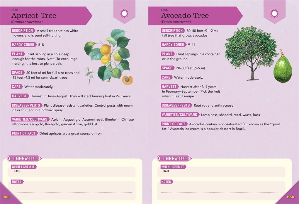 Outdoor School: Gardening-The Definitive Interactive Nature Guide