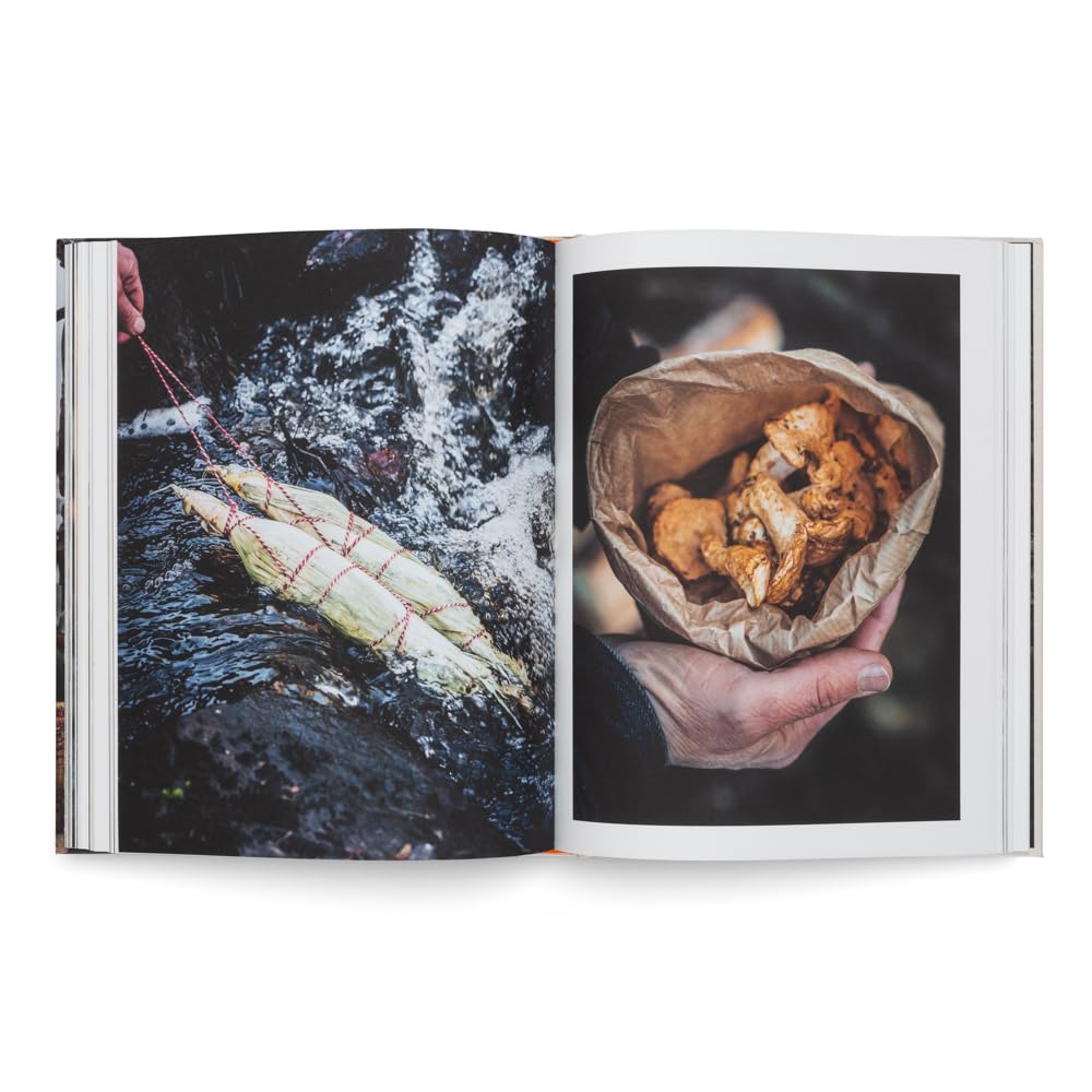 Cooking Greens on Fire: Vegetarian Recipes for the Dutch Oven and Grill by Eva Helbæk Tram,  and Nicolai Tram