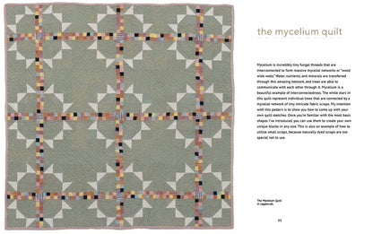 Farm & Folk Quilt Alchemy: A High-Country Guide to Natural Dyeing and Making Heirloom Quilts from Scratch: A High-Country Guide to Natural Dyeing and Making Heirloom Quilts from Scratch