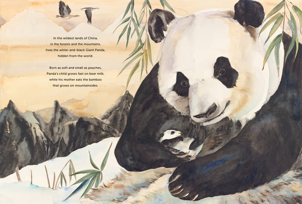 Something about a Bear (2ND ed.) by Jackie Morris