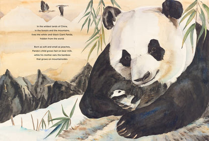 Something about a Bear (2ND ed.) by Jackie Morris