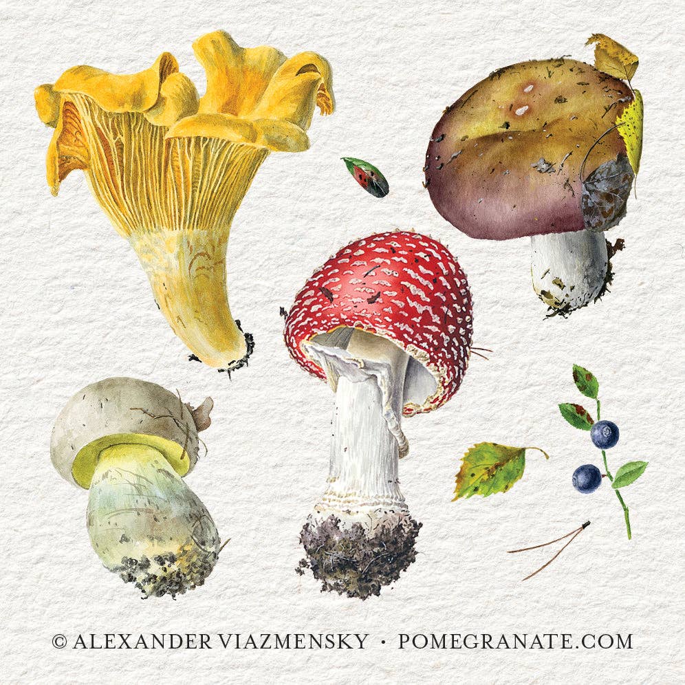 Mushrooms Memory Game by Alexander Viazmensky