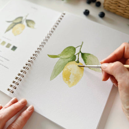 Fruit Watercolor Workbook by Emily Lex