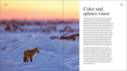 Wolves, Coyotes & Foxes: Symbols of the Wild: Symbols of the Wild