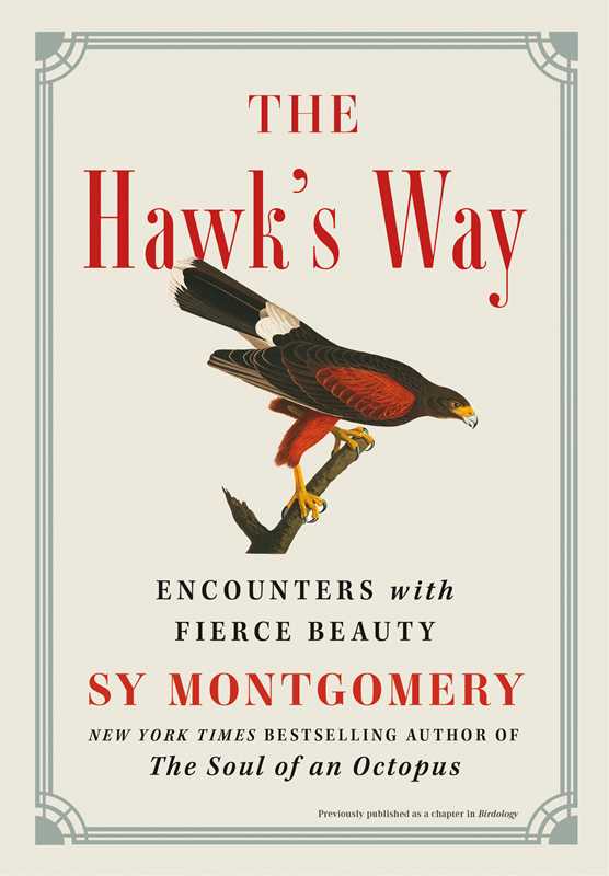 The Hawk's Way: Encounters with Fierce Beauty: Encounters with Fierce Beauty