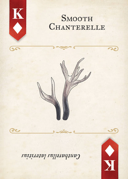 Fungi, Mushrooms & Lichens Playing Cards