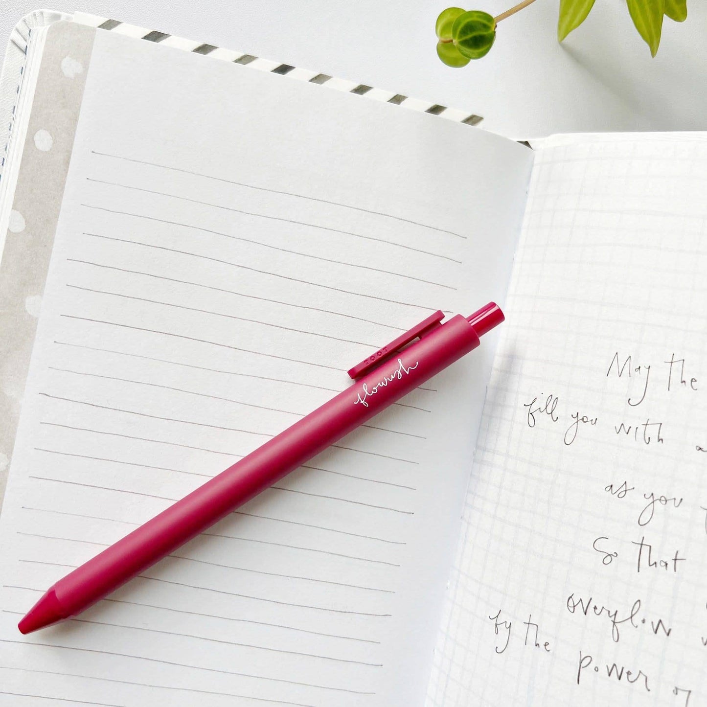 Jotter Pen-Assorted