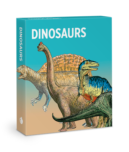 Dinosaurs Knowledge Cards