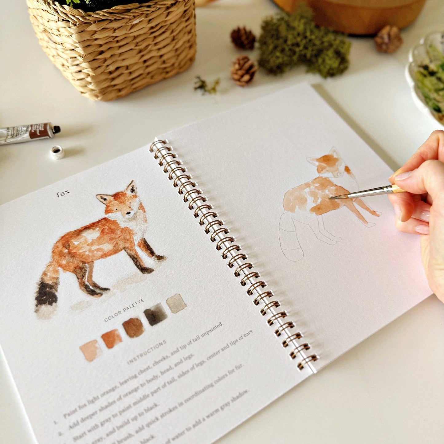 Woodland Watercolor Workbook by Emily Lex