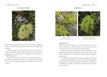Medicinal Lichens: Indigenous Wisdom and Modern Pharmacology: Indigenous Wisdom and Modern Pharmacology by Robert Dale Rogers