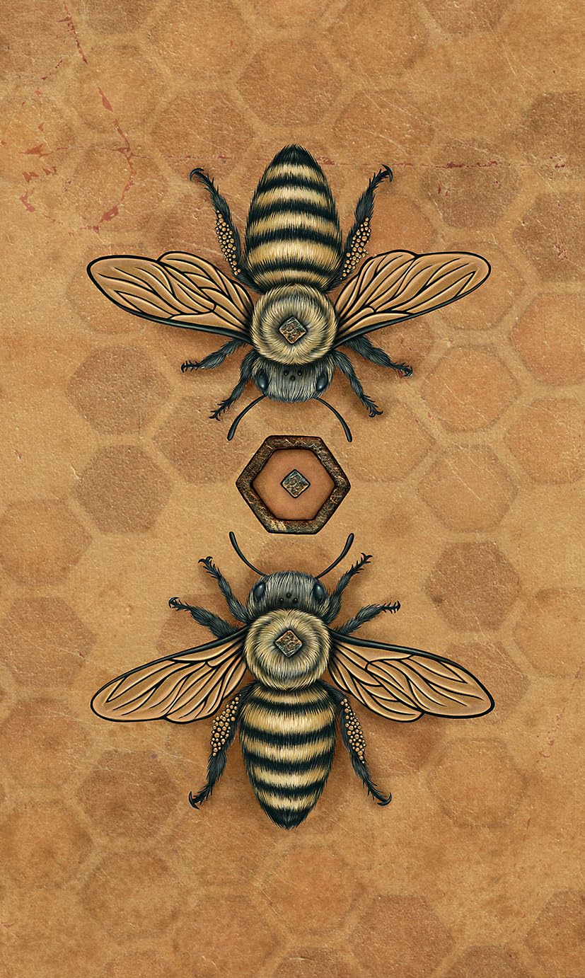 Bee Tarot by Kristoffer Hughes