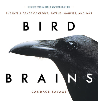 Bird Brains: The Intelligence of Crows, Ravens, Magpies, and Jays: The Intelligence of Crows, Ravens, Magpies, and Jays