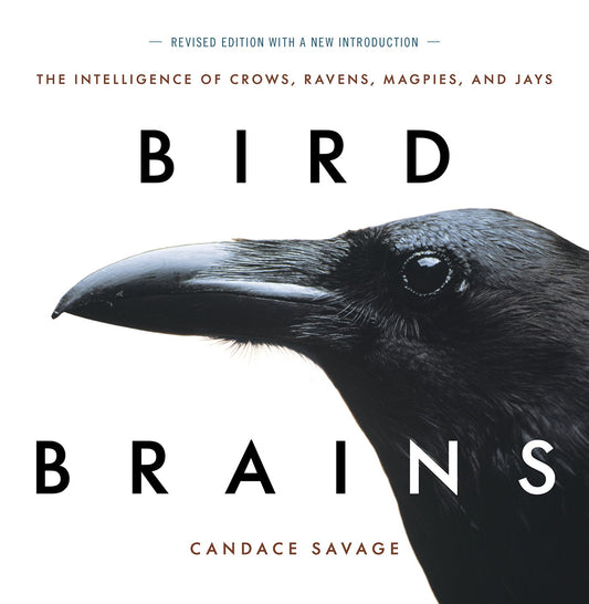 Bird Brains: The Intelligence of Crows, Ravens, Magpies, and Jays: The Intelligence of Crows, Ravens, Magpies, and Jays