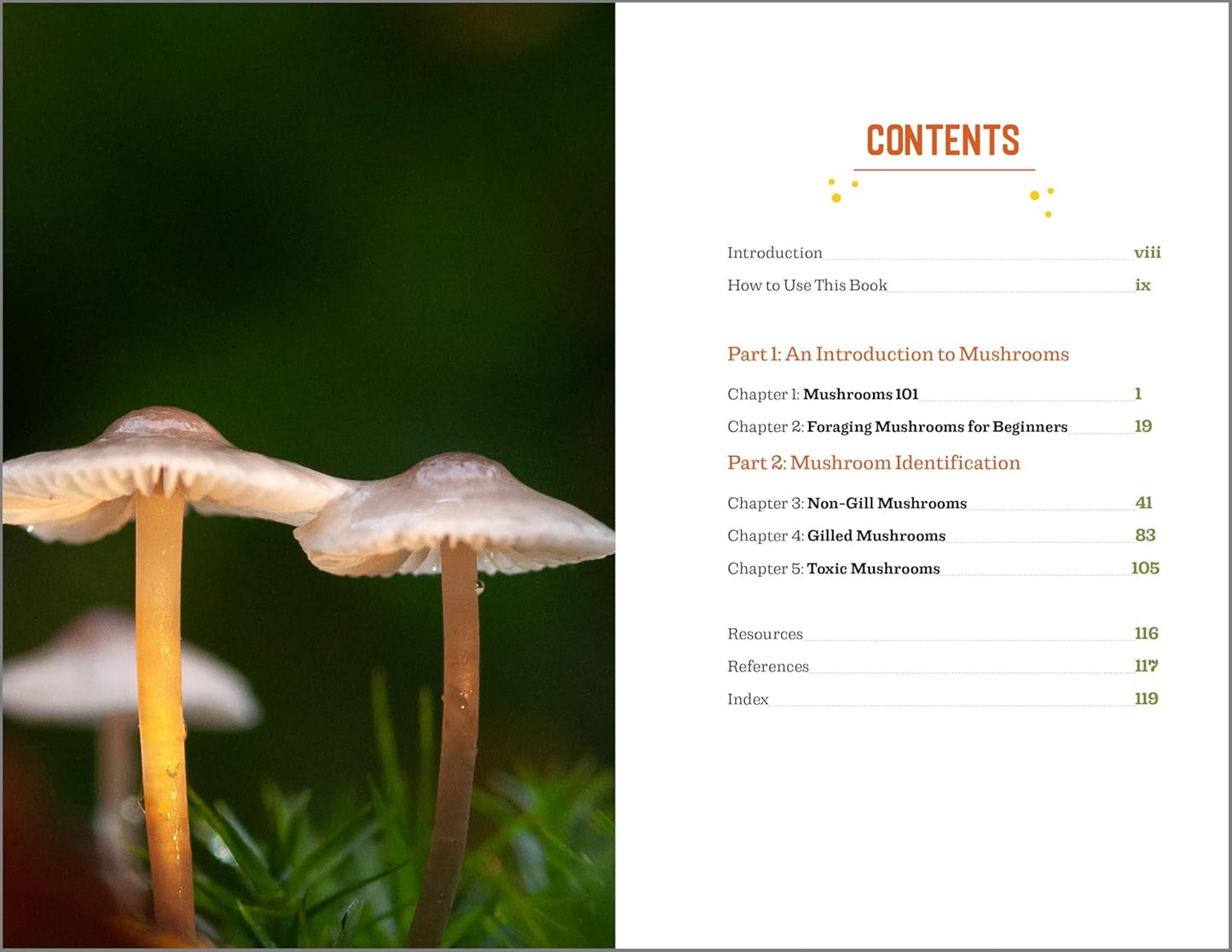 Beginner's Guide to Safely Foraging for Wild Mushrooms: Identifying and Collecting Mushrooms Sustainably with Confidence: Identifying and Collecting Mushrooms Sustainably with Confidence