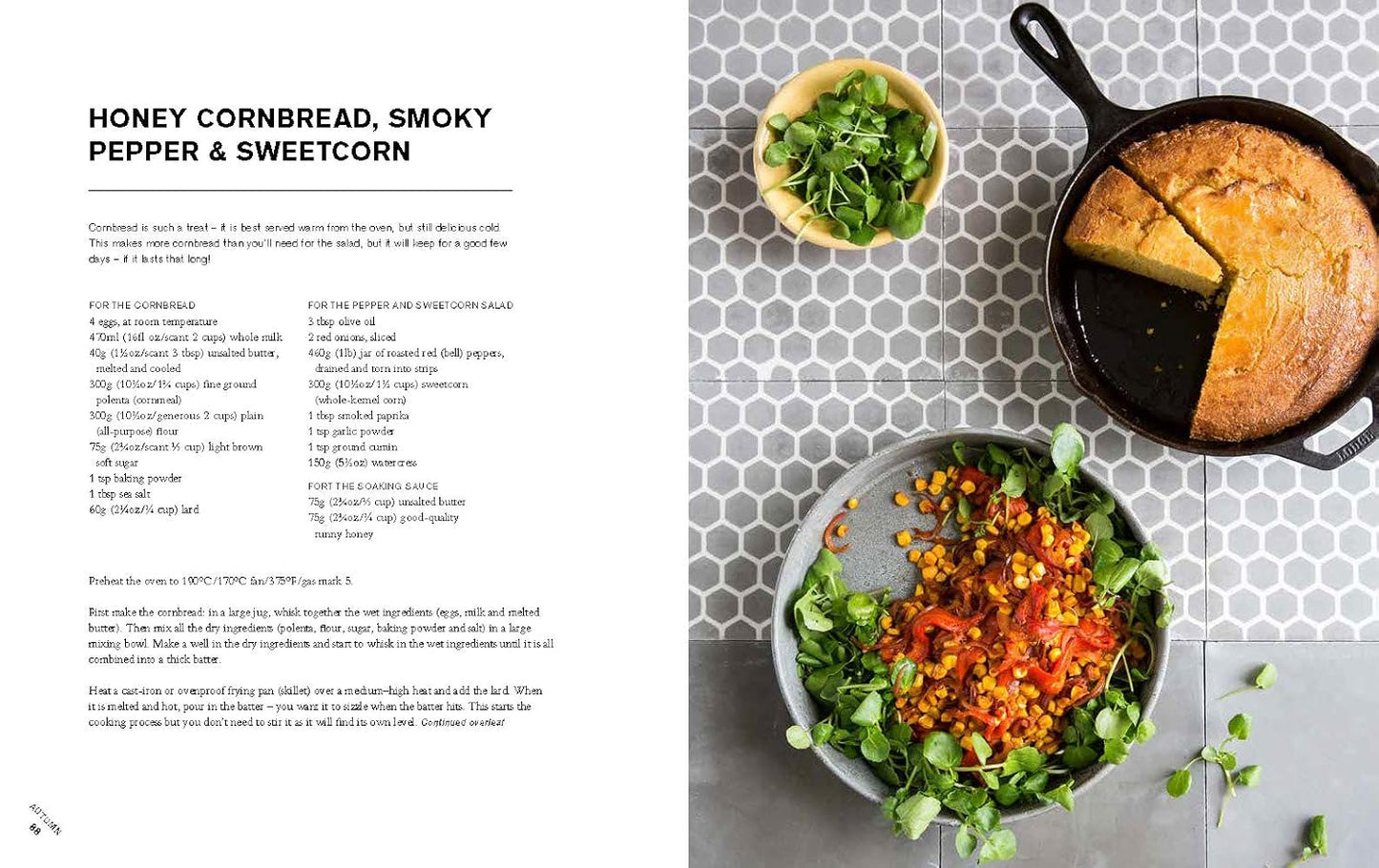 Big Salads: The Ultimate Fresh, Satisfying Meal, on One Plate by Kat Mead