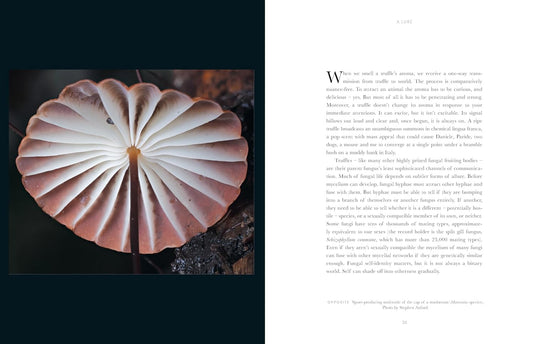 Entangled Life: The Illustrated Edition: How Fungi Make Our Worlds: How Fungi Make Our Worlds