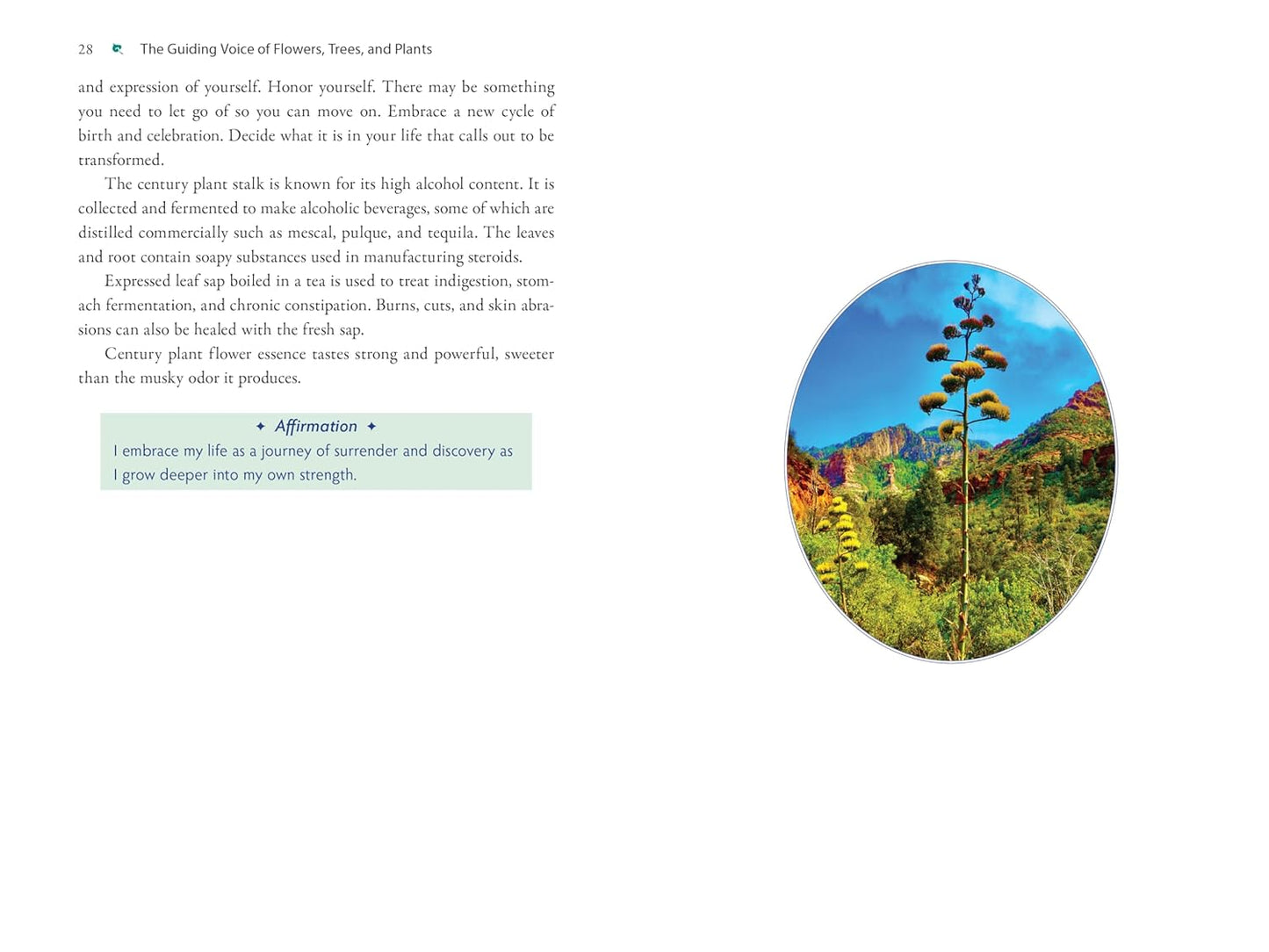 Plant Energy Medicine: The Guiding Voice and Healing Vibration of 58 Plants: The Guiding Voice and Healing Vibration of 58 Plants