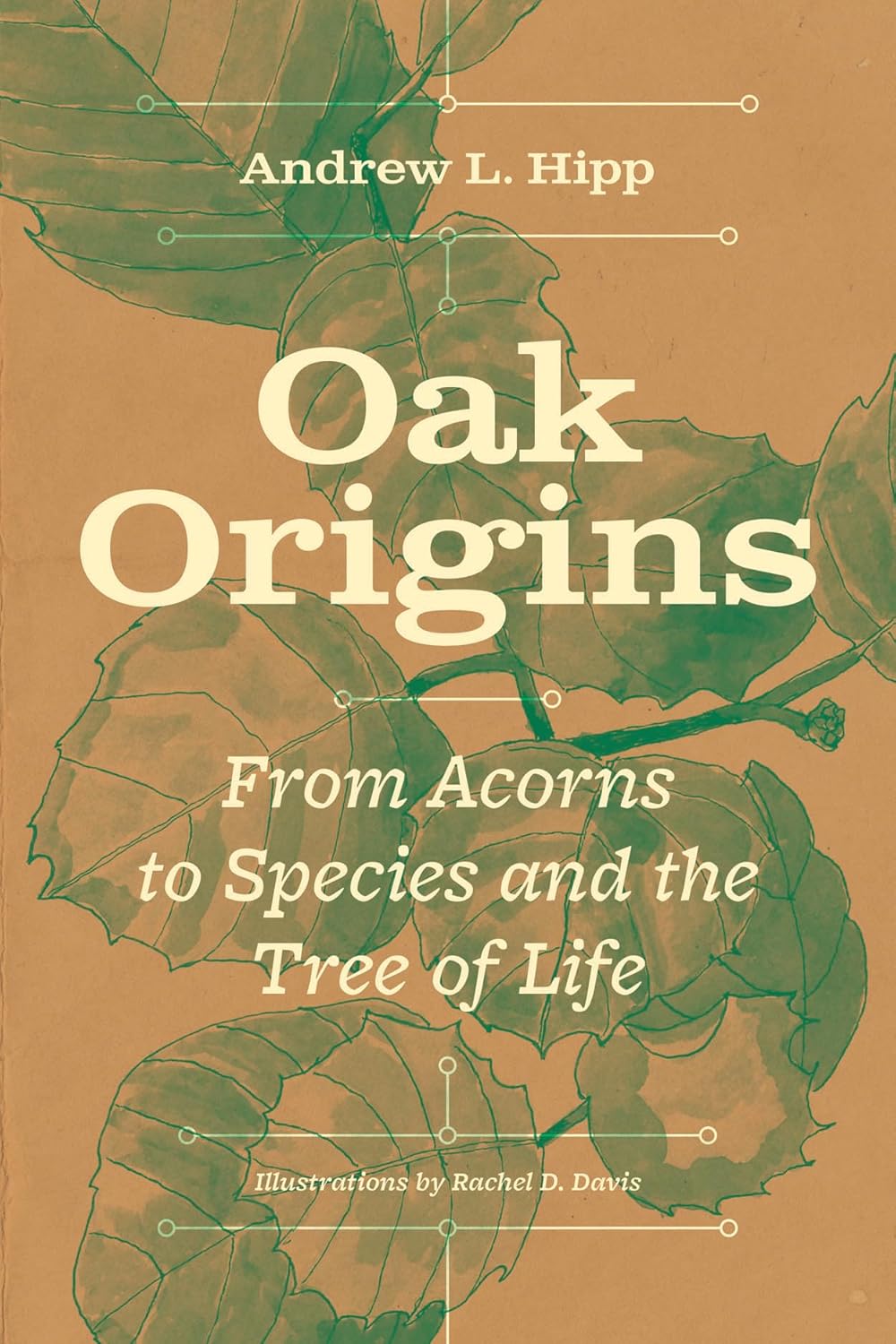 Oak Origins: From Acorns to Species and the Tree of Life: From Acorns to Species and the Tree of Life