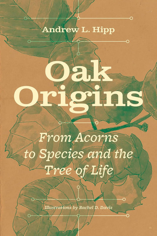 Oak Origins: From Acorns to Species and the Tree of Life (1ST ed.) by Andrew L. Hipp