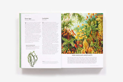 The Botanical Bible: Plants, Flowers, Art, Recipes & Other Home Uses: Plants, Flowers, Art, Recipes & Other Home Uses