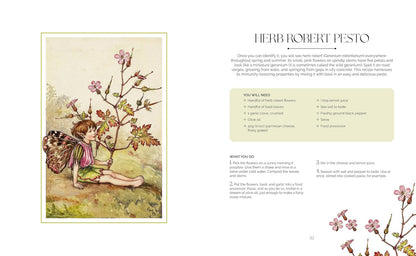 The Flower Fairies Herbal: Recipes and Remedies from the Hedgerow, Field and Forest
