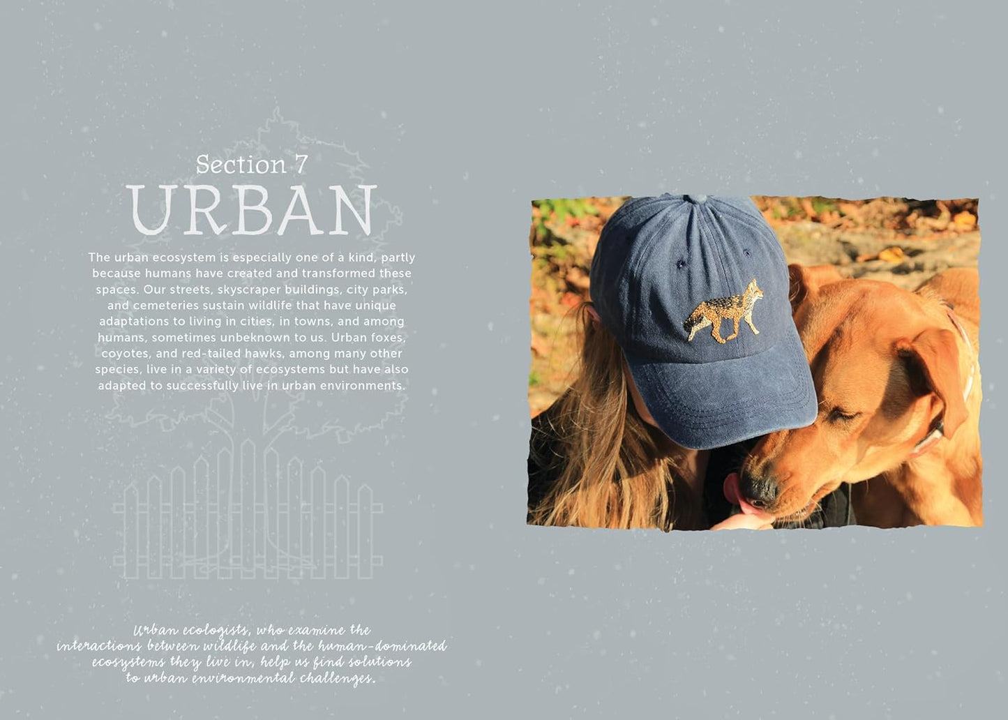 The Field Guide to Embroidery: 52 North American Animal and Plant Designs for Nature Lovers by Jessica Kemper