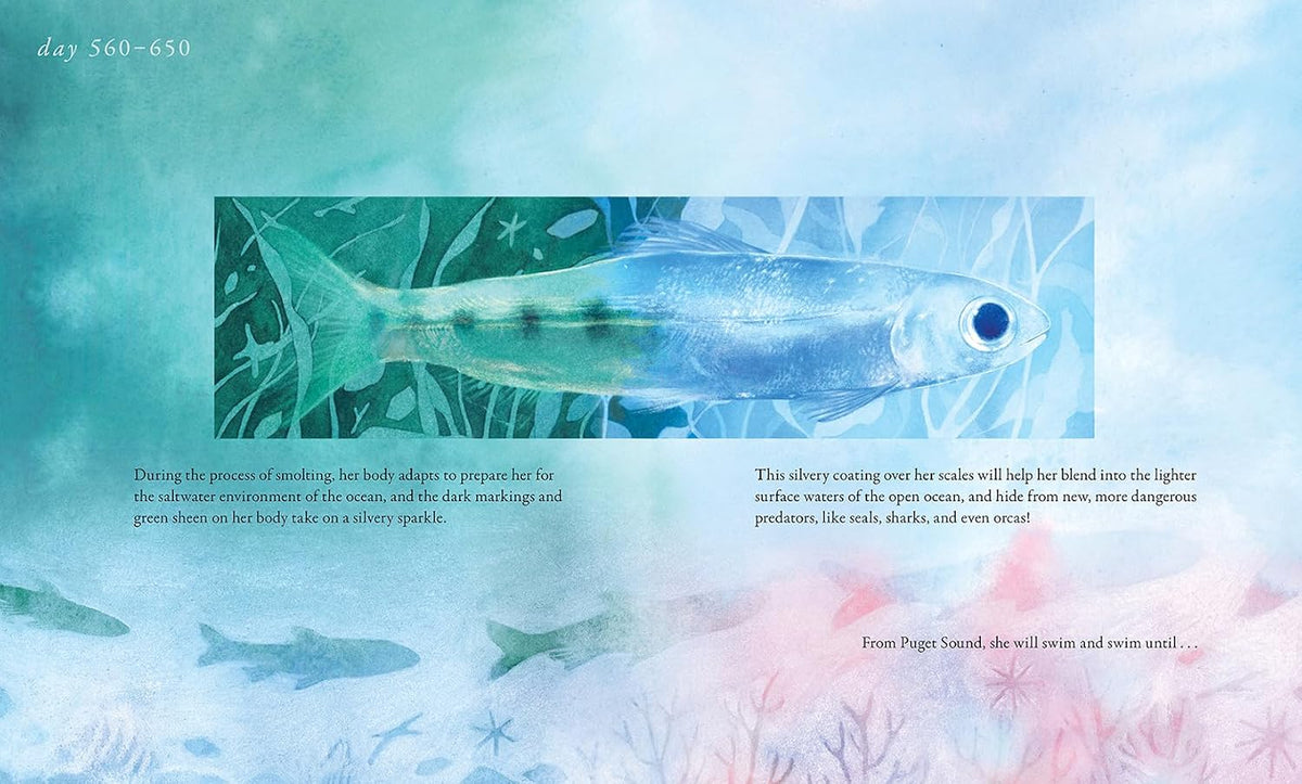 Salmon Run: An Epic Journey to the Ocean and Back