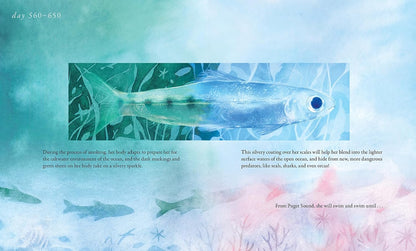 Salmon Run: An Epic Journey to the Ocean and Back