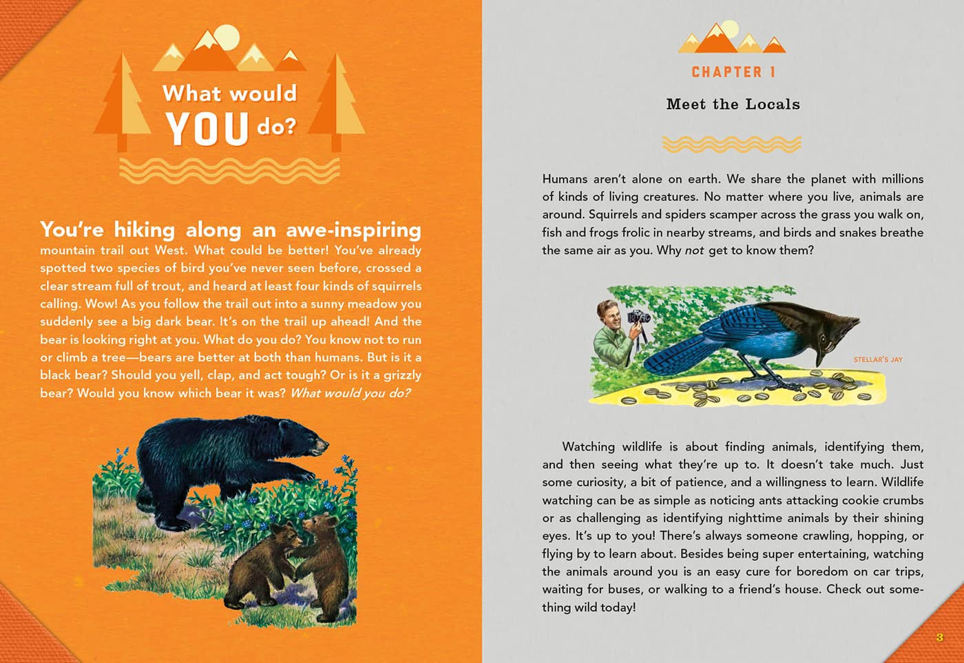 Outdoor School: Animal Watching- The Definitive Interactive Nature Guide