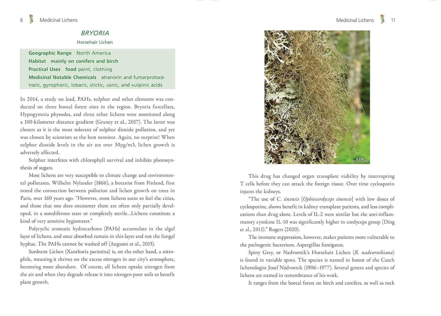 Medicinal Lichens: Indigenous Wisdom and Modern Pharmacology: Indigenous Wisdom and Modern Pharmacology by Robert Dale Rogers