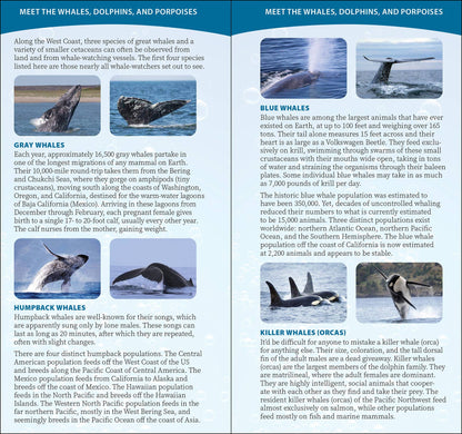 Whale-Watching on the Pacific Coast: Easily Identify Whales, Dolphins, and Other Marine Mammals: Easily Identify Whales, Dolphins, and Other Marine Mammals