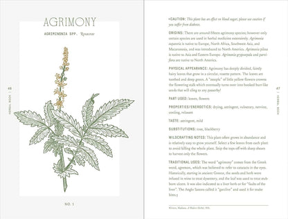 The Complete Folk Herbal: An Illustrated Guide to Natural Remedies and Everyday Healing