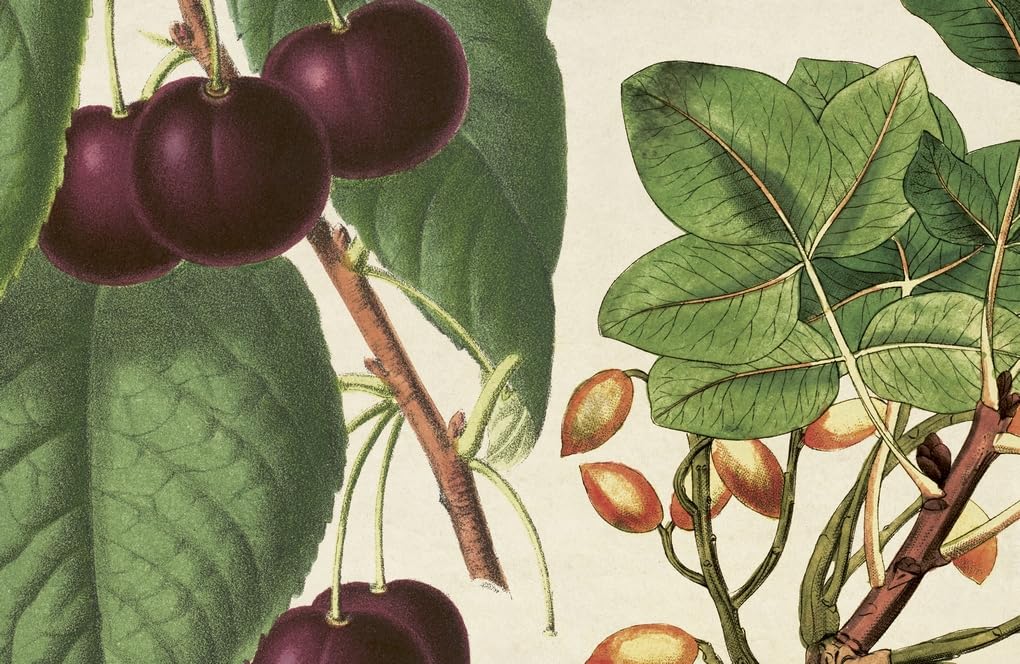 *The Botanical Bakery: 60 Delicious Recipes That Make Your Bakes Blossom