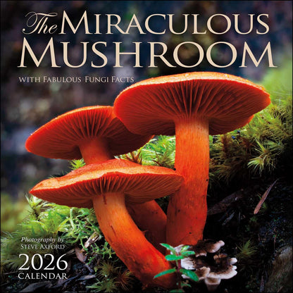 The Miraculous Mushroom 2026 Wall Calendar: With Fabulous Fungi Facts by Amber Lotus Publishing, Steve Axford (Photographer)