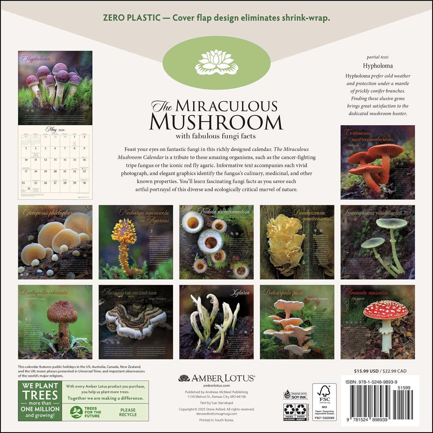 The Miraculous Mushroom 2026 Wall Calendar: With Fabulous Fungi Facts by Amber Lotus Publishing, Steve Axford (Photographer)