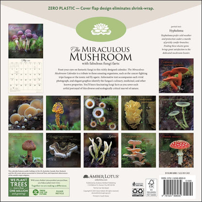 The Miraculous Mushroom 2026 Wall Calendar: With Fabulous Fungi Facts by Amber Lotus Publishing, Steve Axford (Photographer)