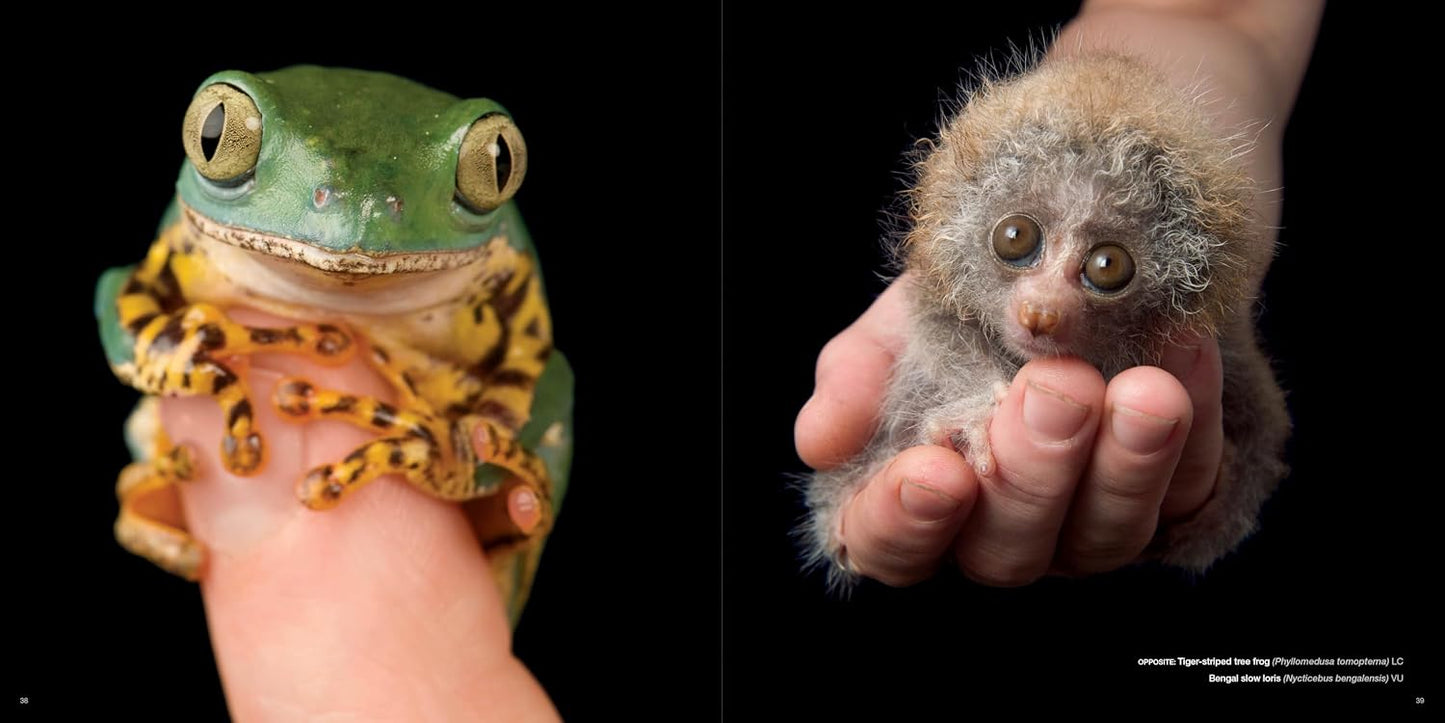 The Photo Ark: One Man's Quest to Document the World's Animals (National Geographic)