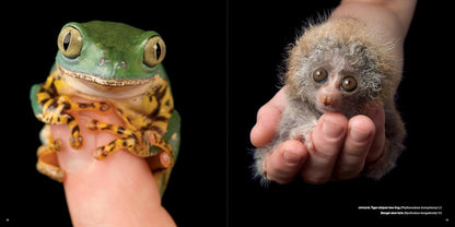 The Photo Ark: One Man's Quest to Document the World's Animals (National Geographic)