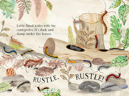 Little Snail's Book of Bugs
