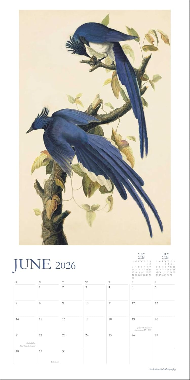 Audubon's Watercolors 2026 Wall Calendar: The Original Birds of America by The New-York Historical Society