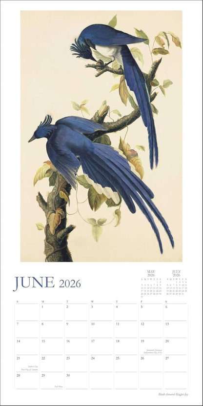 Audubon's Watercolors 2026 Wall Calendar: The Original Birds of America by The New-York Historical Society