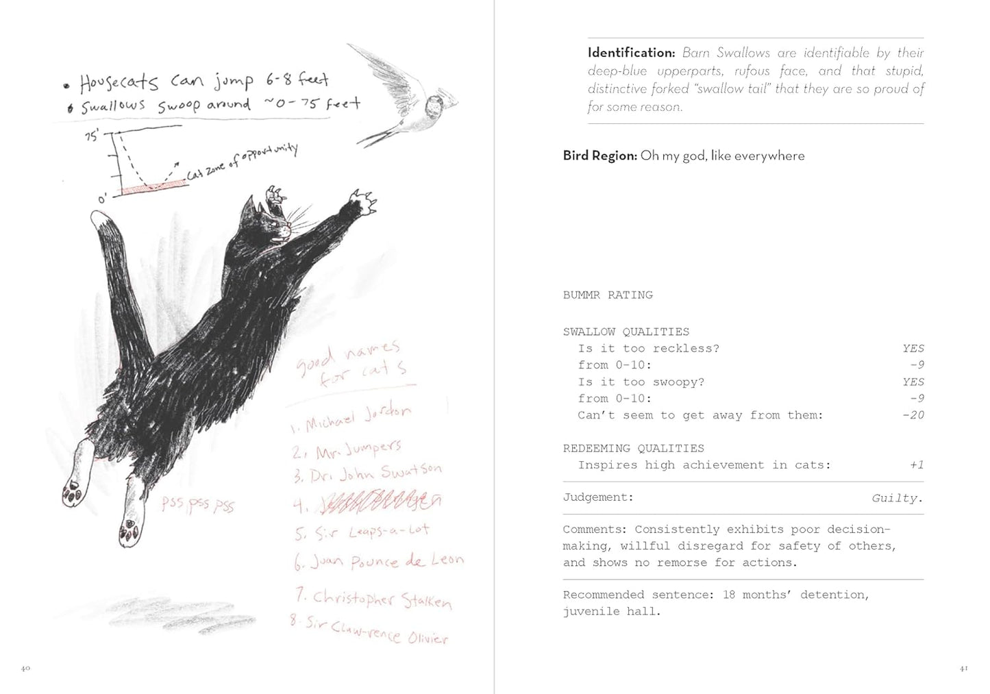 A Dumb Birds Field Guide to the Worst Birds Ever by Matt Kracht