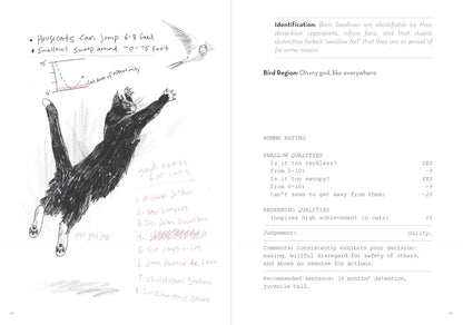 A Dumb Birds Field Guide to the Worst Birds Ever by Matt Kracht