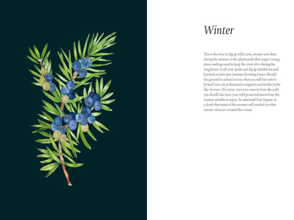 A Forager's Guide to Wild Drinks: Ferments, Infusions and Thirst-Quenchers for Every Season