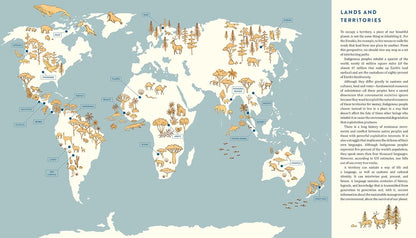 Origin: An Illuminating Look at Indigenous Peoples and Their Connection to the Natural World.: An Illuminating Look at Indigenous Peoples and Their Connection to the Natural World.