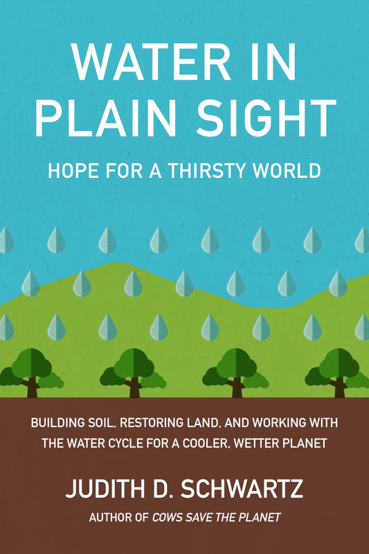 Water in Plain Sight: Hope for a Thirsty World by Judith D Schwartz