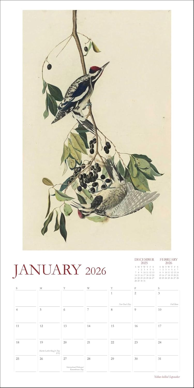 Audubon's Watercolors 2026 Wall Calendar: The Original Birds of America by The New-York Historical Society