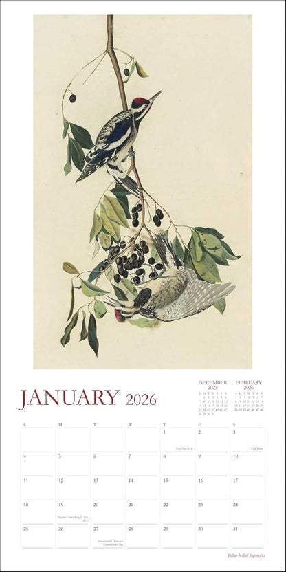 Audubon's Watercolors 2026 Wall Calendar: The Original Birds of America by The New-York Historical Society