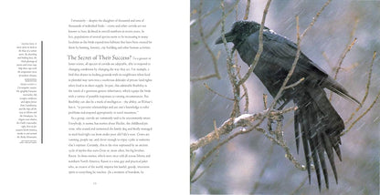 Bird Brains: The Intelligence of Crows, Ravens, Magpies, and Jays: The Intelligence of Crows, Ravens, Magpies, and Jays